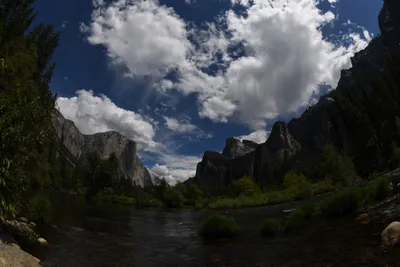 DSC_4352 (Large).JPG